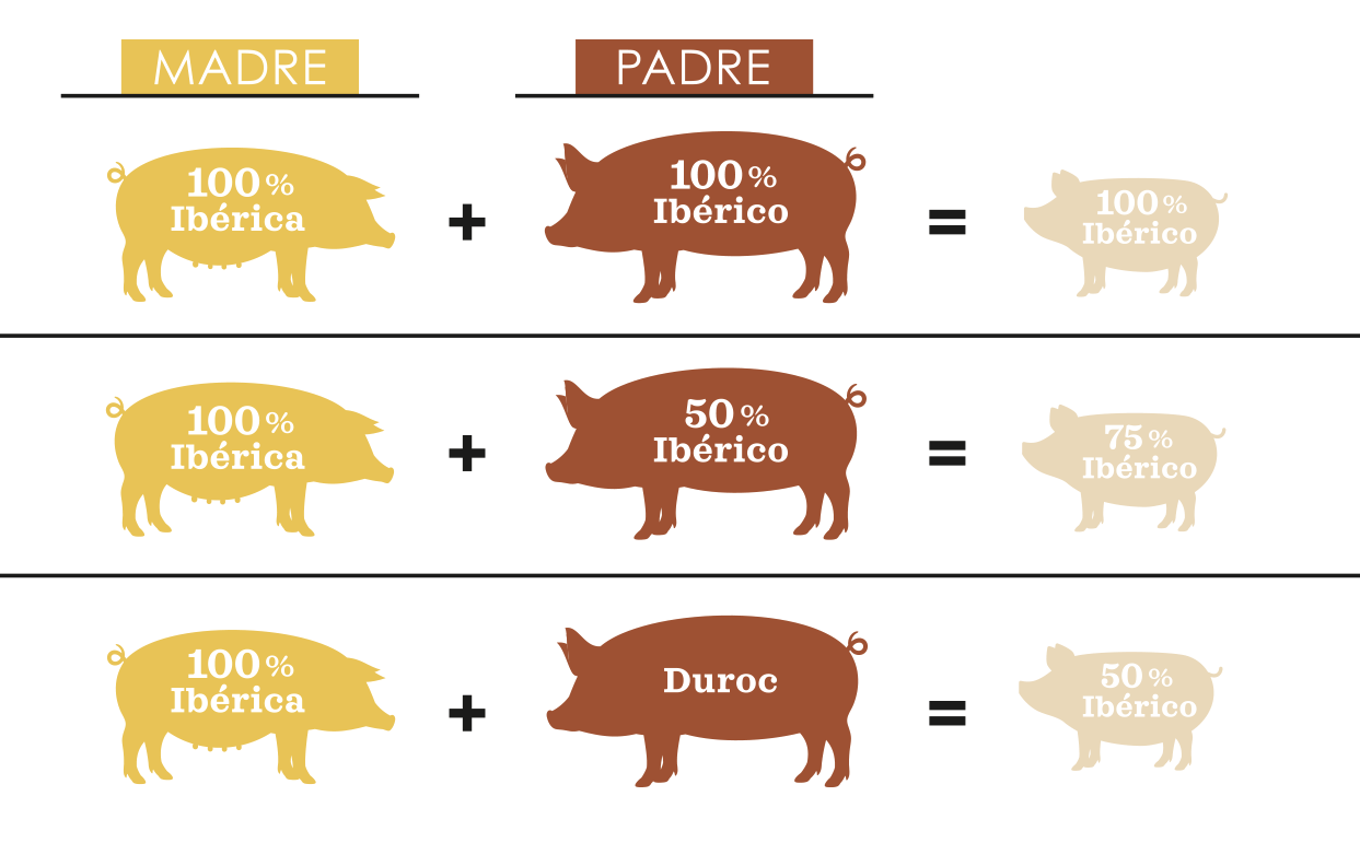 Razas de jamones ibéricos