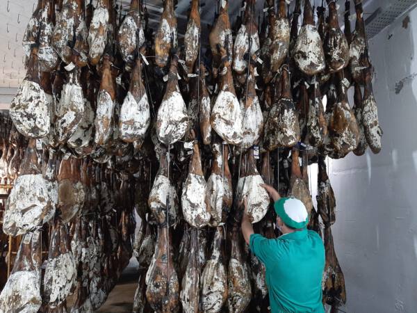 saber-si-un-jamon-iberico-es-de-bellota