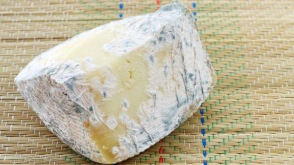 queso-con-moho