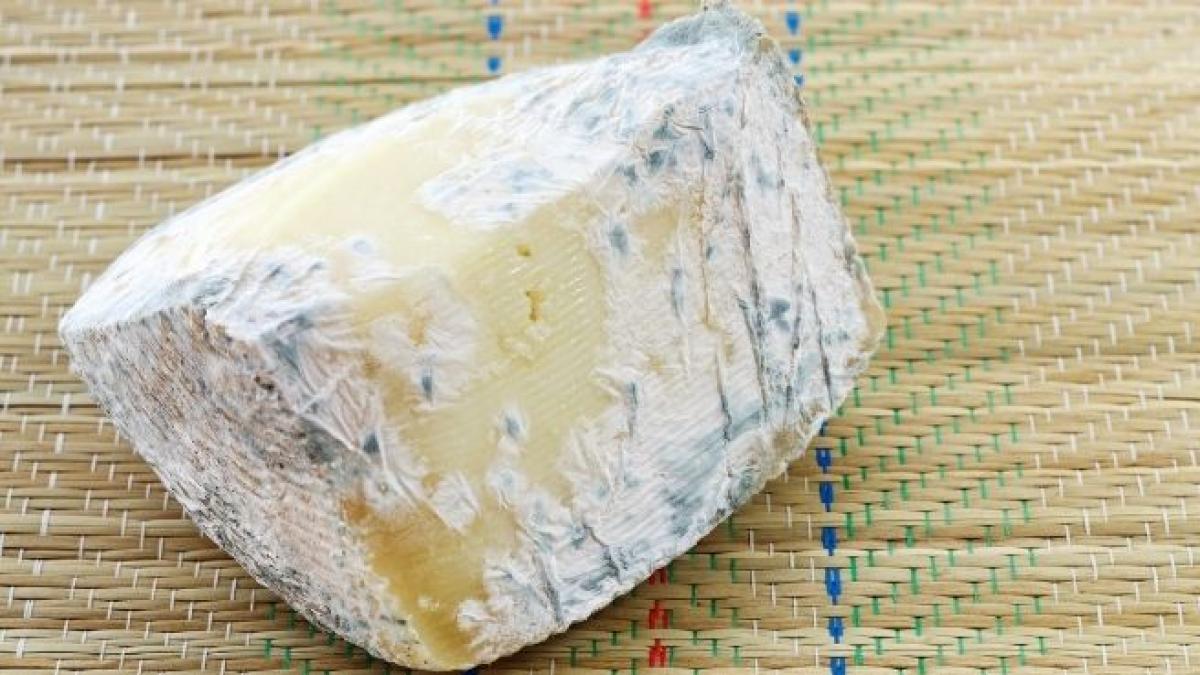 ¿Es peligroso comer queso con moho?